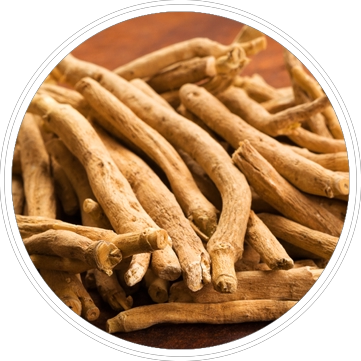 Ashwagandha Extract 